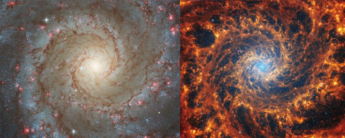 NGC628